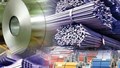 Trong 4 tháng đầu năm 2026, nhập khẩu thép của Việt Nam giảm về lượng nhưng tăng về trị giá