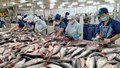 EVFTA giúp thủy sản Việt giữ vững kim ngạch tỷ USD tại thị trường EU