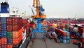 Nhập khẩu hàng hóa từ Đức vào Việt Nam tăng trưởng mạnh mẽ thời điểm giữa năm