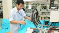 EVFTA thúc đẩy thương mại Việt Nam - Bắc Âu tăng trưởng tích cực