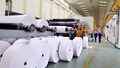 Thị trường nhập khẩu giấy Việt Nam: Trung Quốc và ASEAN chiếm ưu thế