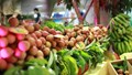 Kim ngạch xuất khẩu rau quả sẽ còn nhiều cơ hội tăng trưởng trong những tháng cuối năm