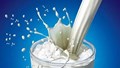 Xuất nhập khẩu sữa: Nhập khẩu giữ đà tăng, xuất khẩu bứt phá nhờ thị trường mới