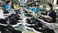 Xuất khẩu da giày 8 tháng năm 2026 đạt 19,54 tỷ USD, đà tăng trưởng tiếp tục cải thiện