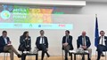 Cải cách chính sách về trái cây và rau quả của EU sẽ được thảo luận tại Brussels.