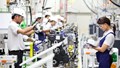 Sản xuất Nhật Bản tăng mạnh nhất hơn 12 năm nhờ nhu cầu chip và AI