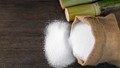 Dự báo thị trường đường thế giới sẽ dư thừa do nhu cầu yếu