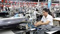 Phê duyệt Chiến lược tiêu chuẩn quốc gia giai đoạn 2026 - 2035