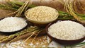 Thị trường lúa gạo thế giới và Việt Nam tháng 4/2025: Phân tích và dự báo 