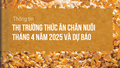 Thông tin thị trường thức ăn chăn nuôi tháng 4 năm 2025 và dự báo
