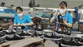 Việt Nam – Ấn Độ: Liên kết chuỗi giá trị trong hợp tác da giày