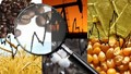 Tổng kết giá hàng hóa TG tháng 5/2023: Giá đồng loạt giảm