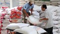 USDA dự báo sản lượng - tiêu thụ - tồn trữ gạo thế giới (báo cáo tháng 1/2023)