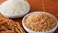Triển vọng thị trường lúa gạo thế giới năm 2022/23: USDA hạ dự báo sản lượng của Ấn Độ và Pakistan