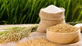 Giá gạo châu Á tăng trong tuần qua