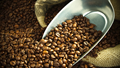 INFOGRAPHIC: Kim ngạch xuất khẩu cà phê 6 tháng tăng mạnh
