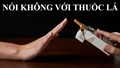 Giảm tỷ lệ hút thuốc lá – cần biện pháp mạnh hơn