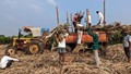 Giá đường lập đỉnh 12 năm, Ấn Độ trở thành “cứu tinh” cho ngành mía đường toàn cầu