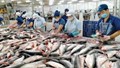 Xuất khẩu cá tra năm 2026 có thể tăng 9%?