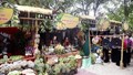 Vừa mở hội, 30 tấn xoài đặc sản Sơn La đã xuất khẩu sang Hàn Quốc