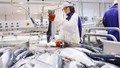 Hoàn tất đàm phán FTA Việt Nam - EFTA, hải sản Na Uy hưởng lợi từ ưu đãi thuế