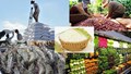 Vượt thách thức bằng tư duy kinh tế để đạt 100 tỷ USD xuất khẩu nông sản