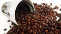 Thị trường cà phê hôm nay 01/2: Giá đồng loạt tăng mạnh, robusta vượt 2.100 USD/tấn
