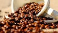 ICO: Xuất khẩu cà phê nhân xanh toàn cầu trong tháng 12/2022 đã giảm 7,7%