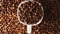 Thị trường cà phê hôm nay 22/3: Hai sàn giao dịch thế giới tiếp nối đà tăng giá