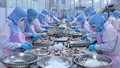 Xuất khẩu thuỷ sản của Việt Nam trong hai tháng đầu năm duy trì đà tăng trưởng