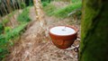 Bảng giá cao su châu Á hôm nay 8/5/2025