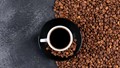 TT cà phê ngày 14/2: Giá arabica được dự báo sẽ giảm khoảng 30% vào cuối năm