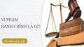 Tập trung hoàn thành rà soát, cắt giảm, đơn giản hóa thủ tục hành chính trong năm 2025