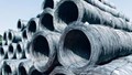 Giá quặng sắt ngày 29/7 duy trì trên mốc 100 USD/tấn giữa lúc đàm phán thương mại Mỹ