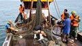 Quyết liệt gỡ “thẻ vàng” IUU cho thuỷ sản Việt Nam