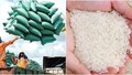 Xuất khẩu gạo 4 tháng đầu năm 2026 giảm hơn 10% về kim ngạch