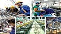 Nghị quyết của Bộ Chính trị về phát triển kinh tế tư nhân
