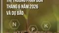 Thị trường phân bón tháng 6 năm 2026 và dự báo