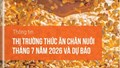 Thông tin Thị trường thức ăn chăn nuôi và nguyên liệu trong nước và thế giới 7 tháng đầu năm 2026 và dự báo
