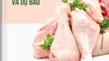 Thông tin thị trường thịt gà tháng 7 năm 2026 và dự báo