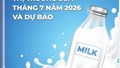 Thông tin thị trường sữa tháng 7 năm 2026 và dự báo