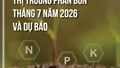 Thông tin thị trường phân bón Việt Nam và thế giới 7 tháng đầu năm 2026 và dự báo