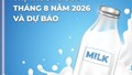 Thông tin thị trường sữa tháng 8 năm 2026 và dự báo