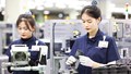 Kế hoạch hành động của Chính phủ thực hiện Nghị quyết số 10-NQ/TW