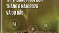 Thông tin thị trường phân bón Việt Nam và thế giới tháng 8 năm 2026 và dự báo