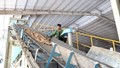 Cơ hội xuất khẩu sắn và tinh bột sắn sang thị trường Trung Quốc