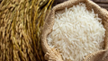 Thị trường nông sản: Lúa gạo ở Đồng bằng Sông Cửu Long vững giá