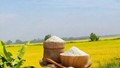 Chinh phục thị trường Nhật Bản: Cơ hội nâng cao giá trị gạo Việt