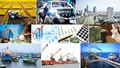 Thị trường hàng hóa trong nước ngày 9/5/2025: Gạo nguyên liệu tăng nhẹ