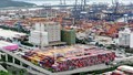 Xuất khẩu sang Canada đạt trên 2,7 tỷ USD trong 5 tháng đầu năm 2025